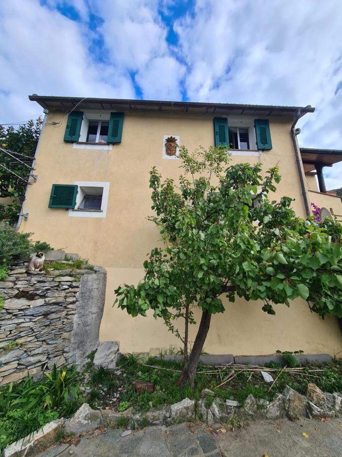 Castrusso Il Frantoio Di Rapallo By Portofinovacanze エクステリア 写真