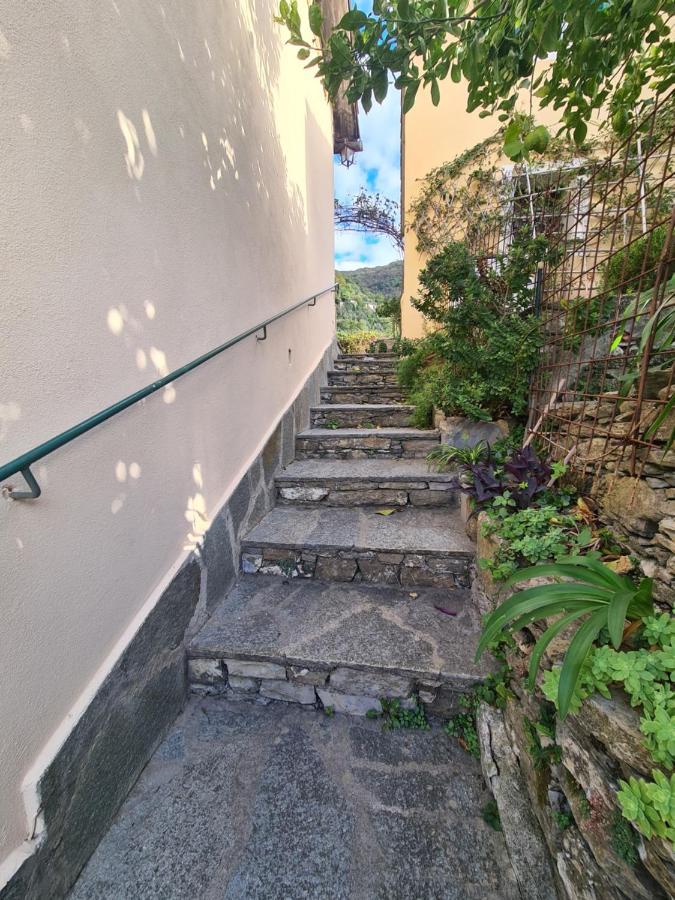 Castrusso Il Frantoio Di Rapallo By Portofinovacanze エクステリア 写真